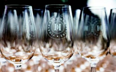 Win two tickets to Vineyards of Hampshire’s ‘Festive Fizz’