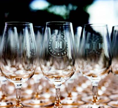 Win two tickets to Vineyards of Hampshire’s ‘Festive Fizz’