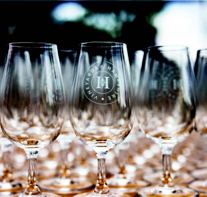 Win two tickets to Vineyards of Hampshire’s ‘Festive Fizz’
