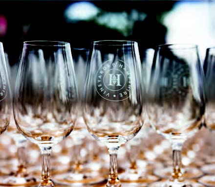 Win two ti ckets to Vineyards of Hampshire’s ‘Festive Fizz’ 2026